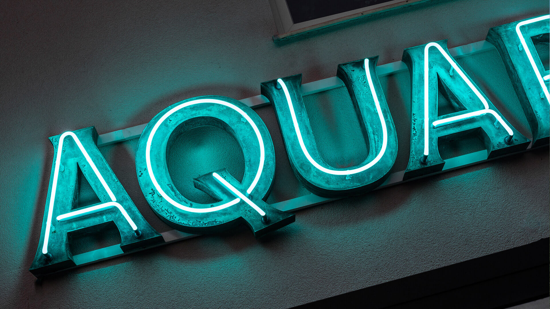 aquarium - aquarium-néon sur le mur du bâtiment-lettre-couvert-patina-néon au-dessus de l'entrée du restaurant-néon vert sur le mur du bâtiment-néon sur un pilier sous la vitre (31) 